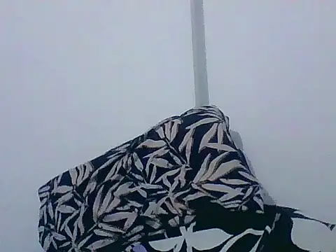 indiana_party Show Webcam