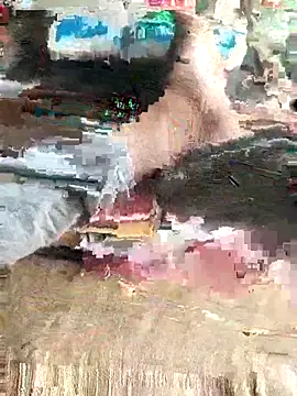 Show de webcam de joshiyag