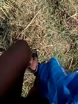 dolphiinn 即時 XXX 聊天