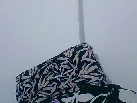 indiana_party 웹캠 쇼