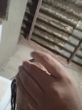 Pokazy przed kamerką – Cofisexy