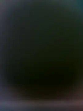 yourMasterisBoredn Webbikameraesitys