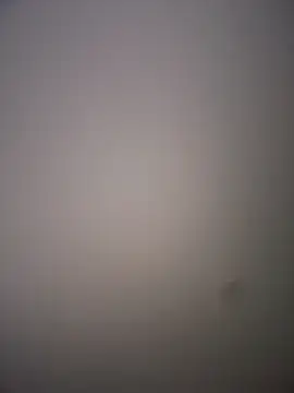 Chat XXX en directo de Miia__Taylor