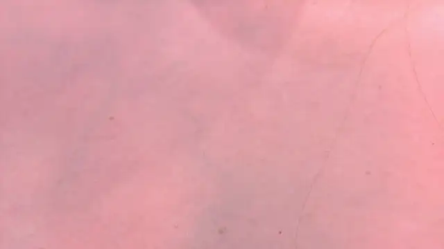 PixelGoddess Chat XXX live