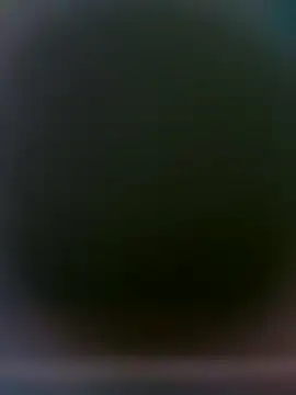 yourMasterisBored Show in webcam