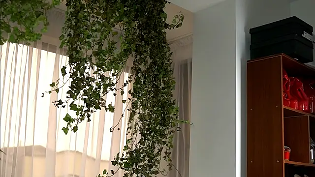 TheMaddisonShow_ – webcam-show