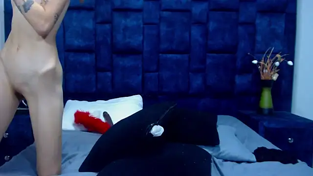 GroupNoLimitsのウェブカメラショー