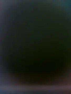 Show webcam de yourMasterisBored