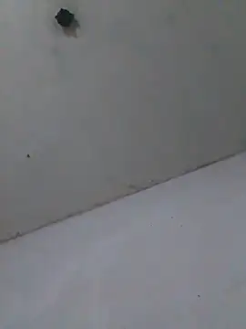 Živý XXX chat cobrosdepagos