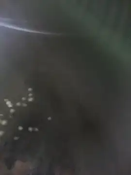 Chat XXX ao vivo de Aafreen_36