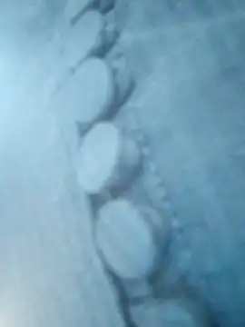 Laxmi_89's Live XXX Chat