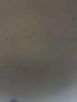 SLNatasha Show Webcam