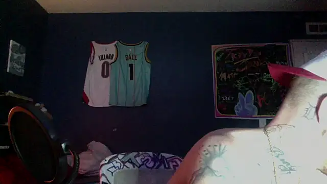 Show webcam de traejddd