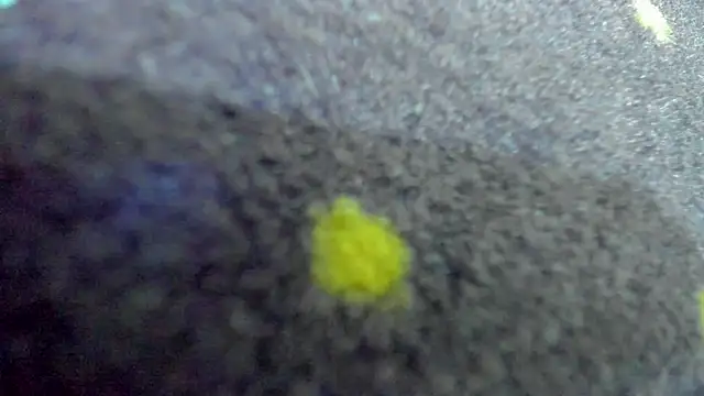 โชว์เว็บแคมของ AishaRouhi