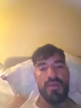 Show Webcam de piggylatino