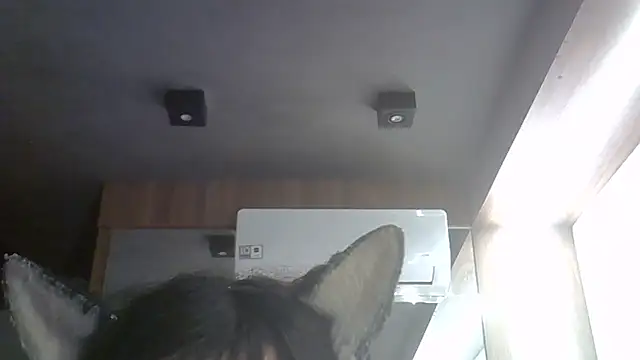 SkinnyKitten Webcamshow