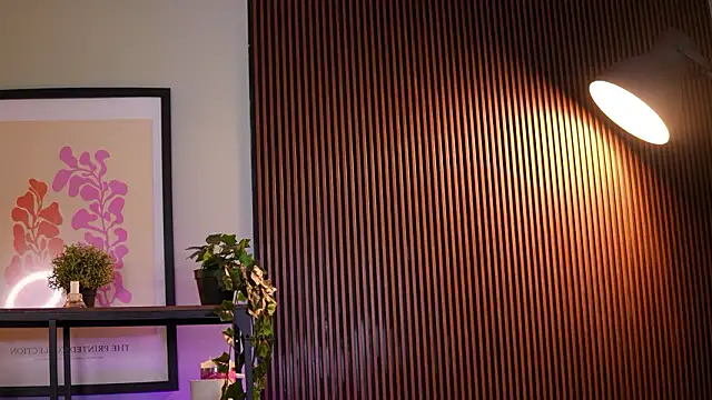 Pertunjukan Kamera Web RavennaDArcy