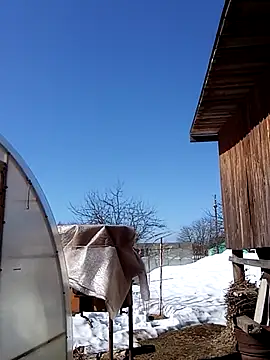 Show webcam de _uncle_Mitya-43_