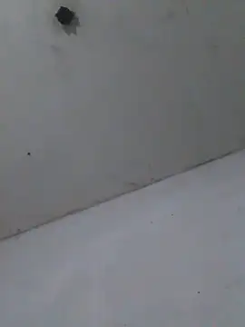 cobrosdepagos Adlı Modelin Web Kamerası Şovu