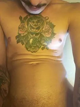 Show de Tacafogonabaga na webcam