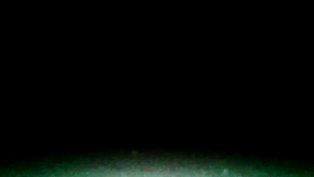 Werknjerkn webkamerás műsora