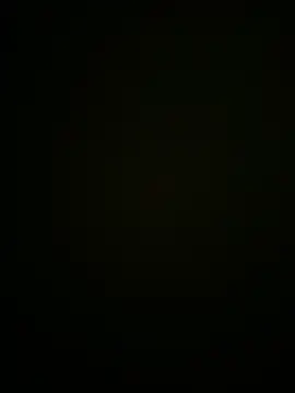 Show webcam de meta_dili