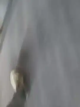 عرض كام emremodel