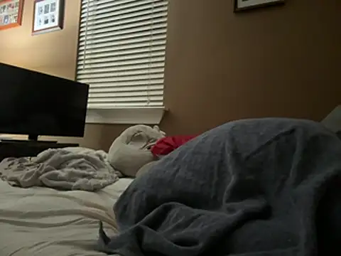 Pertunjukan Kamera Web beastmaster504