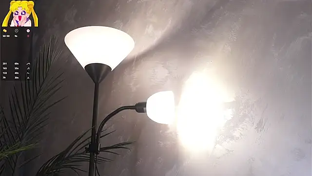 Show modela EdlinHargus na web-kameri