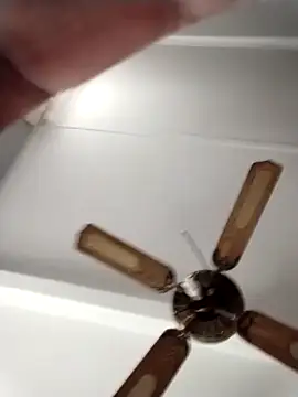 Baby_PのライブXXXチャット