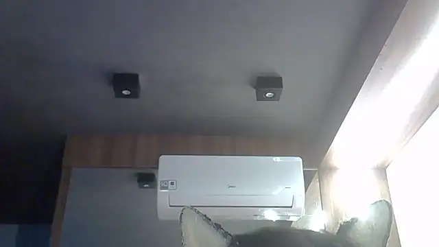 Show de webcam de SkinnyKitten