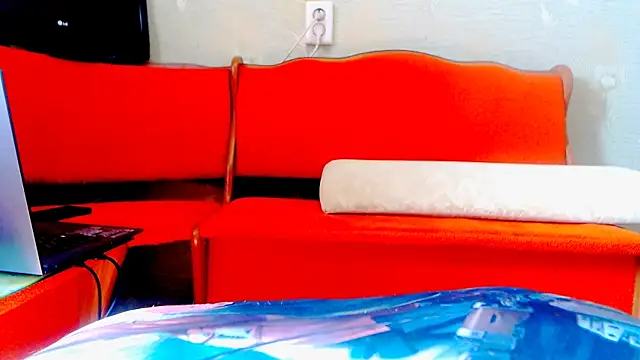 Show modela Live_View na web-kameri