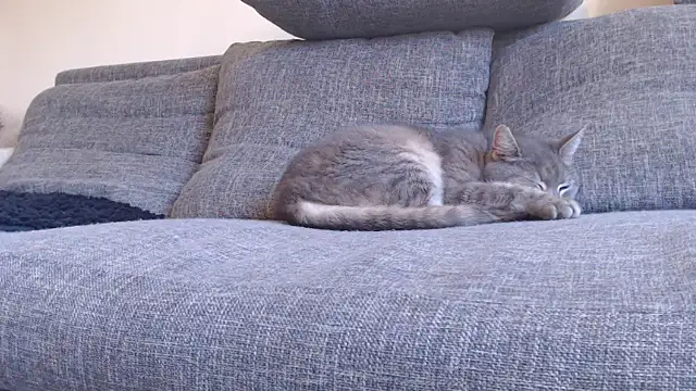 Chat +18 de sexpourvous ao vivo