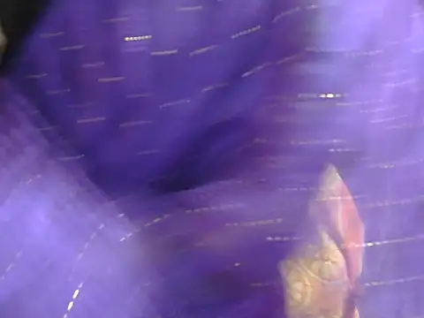 Chat XXX Live Adorable_Ayesha