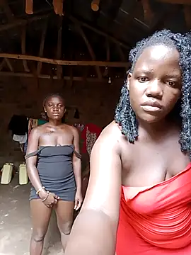 Show Webcam de holygrail001