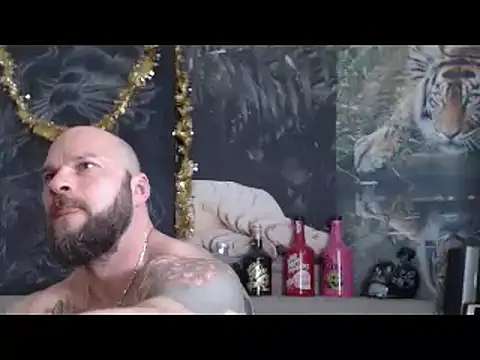 Show webcam de viking_30