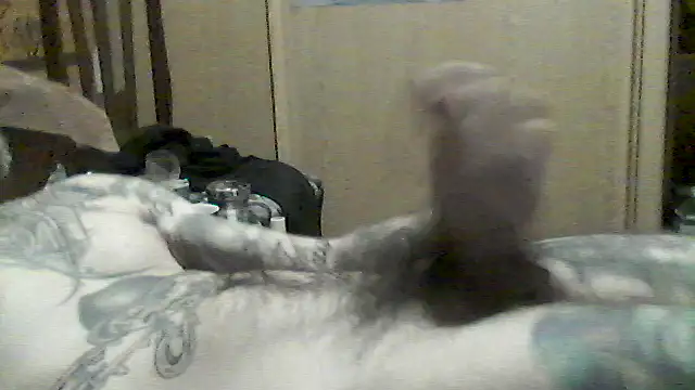 MrFumao Chat XXX in diretta