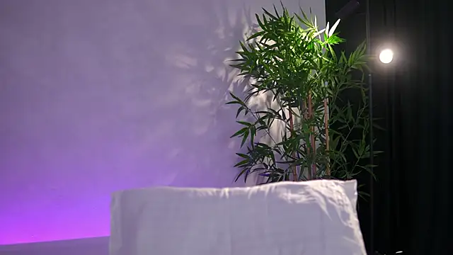 ArtTeasee Chat XXX in diretta