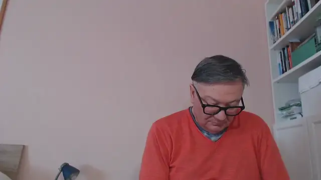 Show webcam de YOU6me