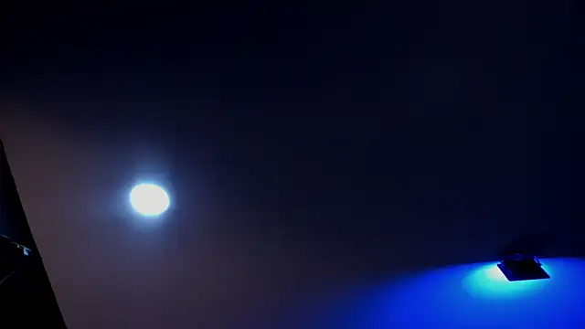 Chat +18 de Amy_whittee ao vivo