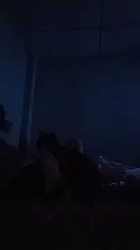 Živý XXX chat Pornoforpyros