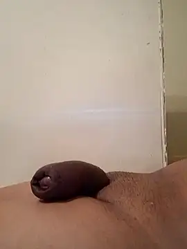 Show webcam de moneytalk516