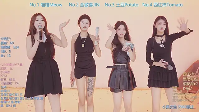 SSF-888 网络视讯表演