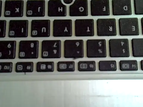 Show Webcam de Delicious-D