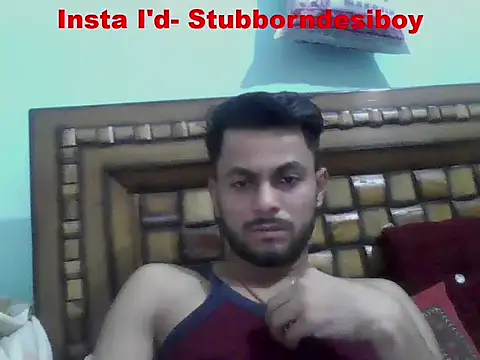 Chat XXX ao vivo de Stubborndesiboy