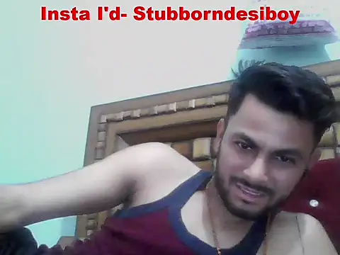 Chat XXX en directo de Stubborndesiboy