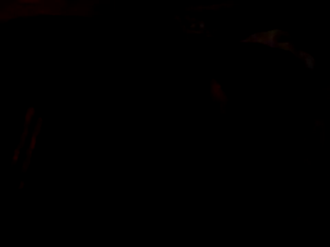 Pokazy przed kamerką – Silencio26