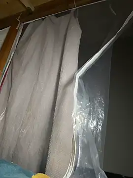 Chat XXX Live daaqnn