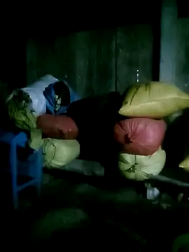 Show de him220 na webcam