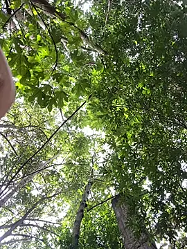 Show Webcam de GetDrainedHere